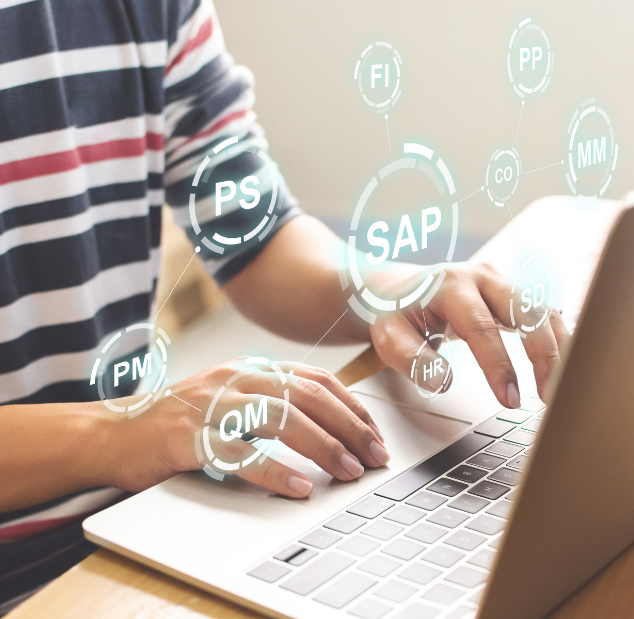 sap erp sap erp